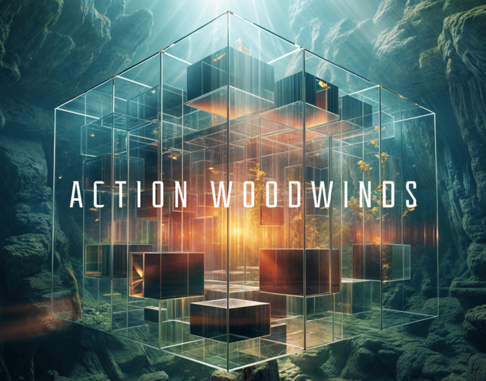 全新影视木管乐句音源!Native Instruments Action Woodwinds v1.0.0 KONTAKT-KK音频资源网